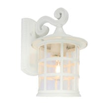 Indra 1 Light Exterior Wall Light